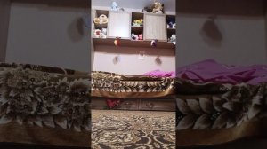 как начать заниматься квадробикой и как ходить по квд?