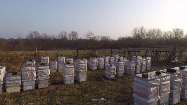 ПЧЕЛОВОДСТВО И ЭКСПЕРИМЕНТЫ НА ПАСЕКЕ ЛОБАНОВЫХ СЮЖЕТ5 ИТОГИ ПЕРВОГО ЭКСПЕРИМЕНТА смотреть онлайн