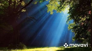 Тимофей Борисов ~ Надежды Луч.