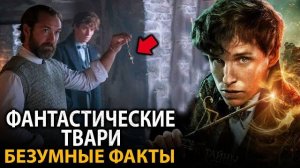 Фантастические_твари_все_фильмы_удивительные_факты,_о_которых_мало