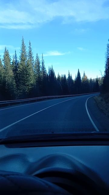 Спуск с Семинского перевала. Красота!Кедры сосны ели.