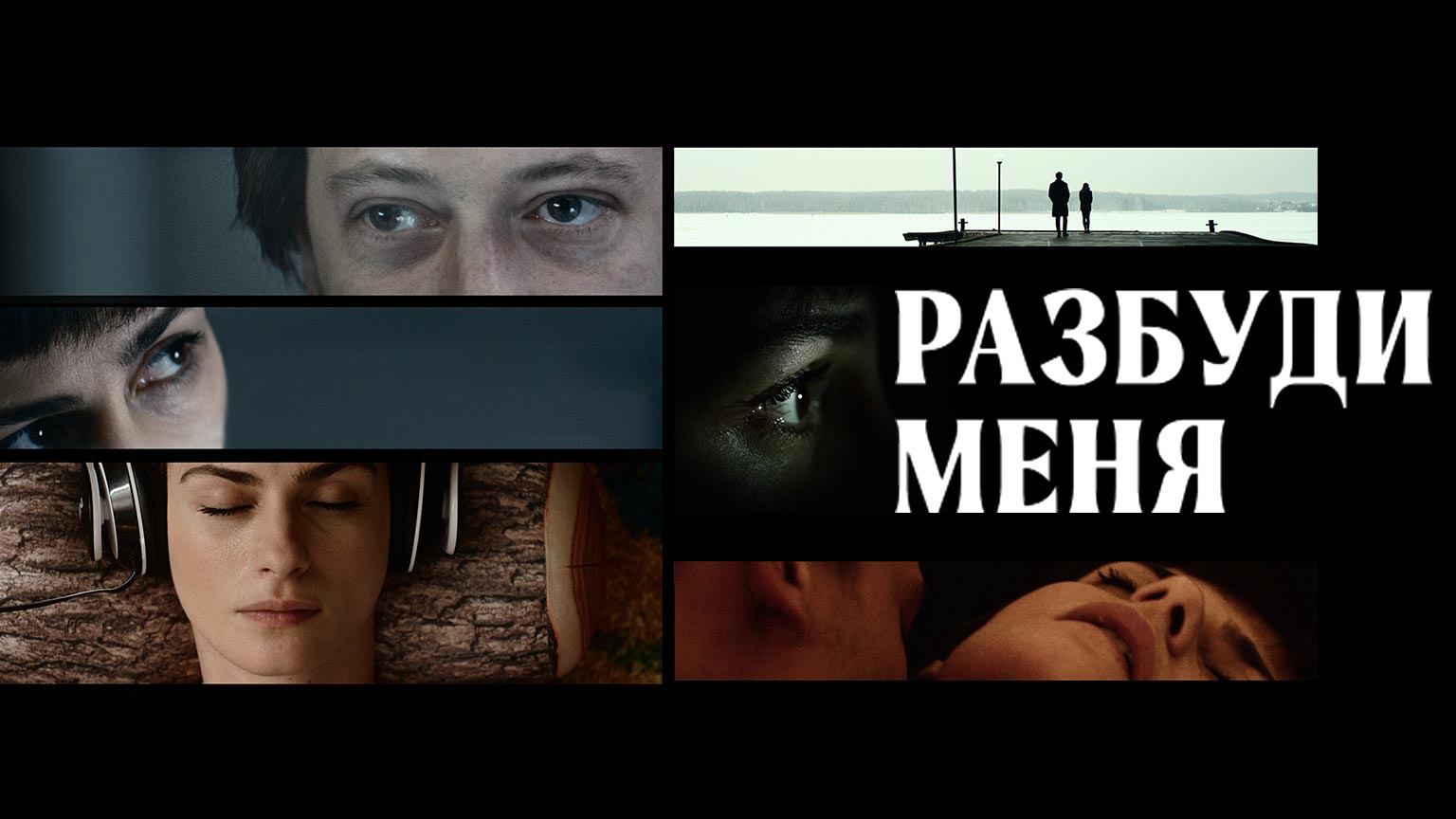 Разбуди меня (2016)