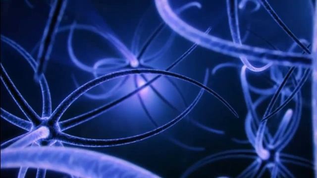 Для востановления мозга и зрительных функций смотреть онлайн