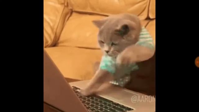 #Начало #эксперимент #потпищики эксперемент #Тренды стартовала 31 января смотреть онлайн