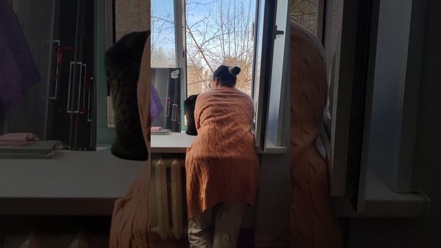 ВМЕСТЕ С КОШКОЙ НА ОКОШКЕ😂ПЬЁМ КОФЕ И СМОТРИМ В ОКНО☕😻#recommended #beautiful #cat #chelyabinsk смотреть онлайн