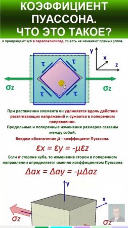 40.20 Коэффициент Пуассона стали. Физический смысл.