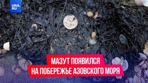 Выбросы мазута впервые обнаружили на побережье Азовского моря после катастрофы в керченском проливе