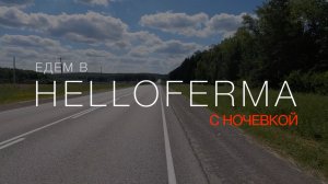 Едем в глемпинг Helloferma: гулять с хасками.