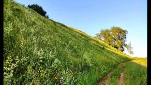 Кайсын Кулиев  Моему сердцу #стихиосердце #поэты20века #балкарскийпоэт