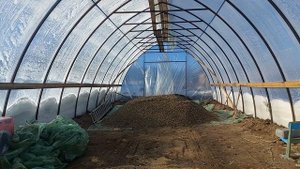 Свиньи без хлопот. Корм