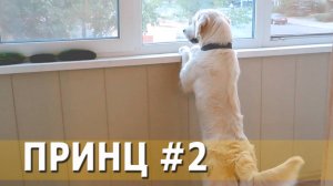 То чувство, когда твои друзья гуляют, а ты дома)))