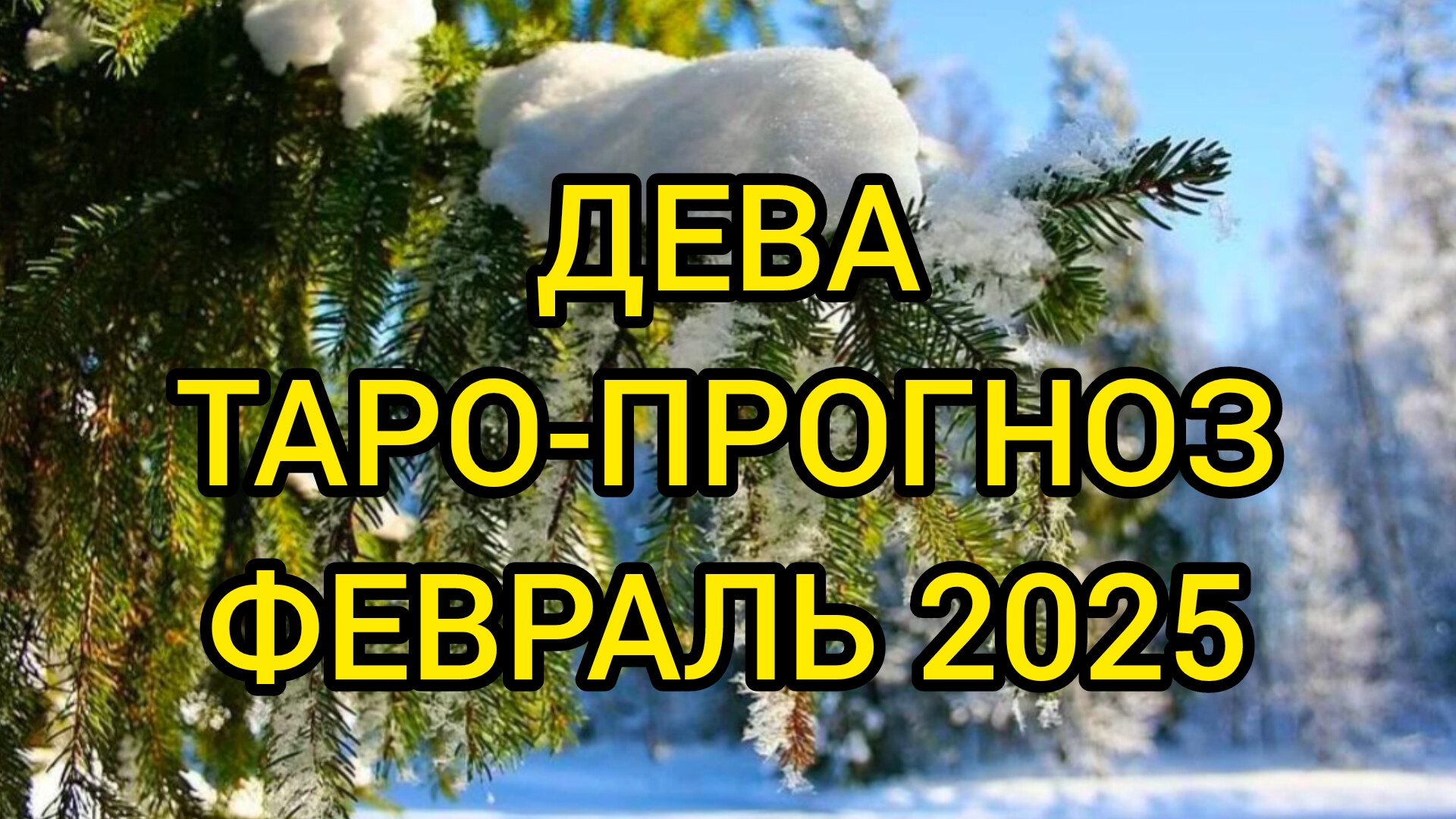 ДЕВА/ТАРО-ПРОГНОЗ/ФЕВРАЛЬ 2025