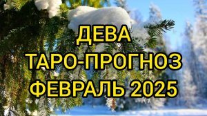 ДЕВА/ТАРО-ПРОГНОЗ/ФЕВРАЛЬ 2025