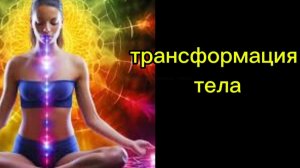 КАК МЕНЯЮТСЯ НАШИ ТЕЛА И ПОЧЕМУ? #трансформация#духовноеразвитие#осознанность