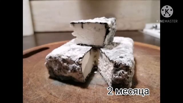 Крафтовый козий сыр. Этапы созревания. смотреть онлайн