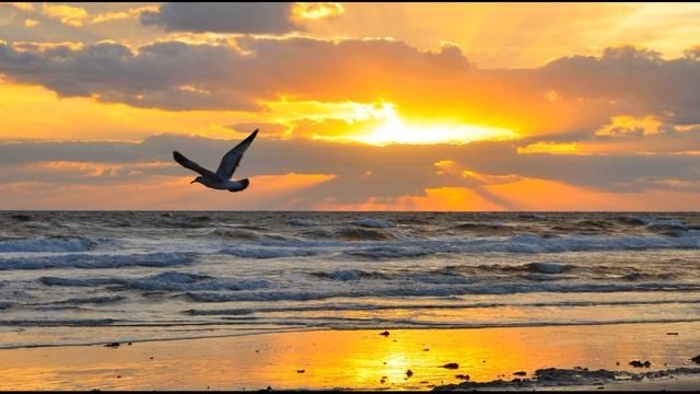 В Маяковский Разговор с фининспектором о поэзии #стихиопоэзии#футуристы#поэтысеребряноговека смотреть онлайн