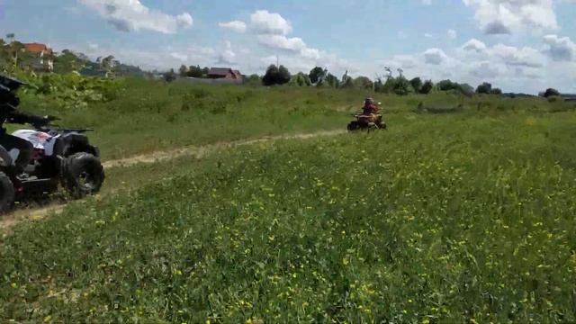 Гонки на квадриках по полю с Лёней смотреть онлайн