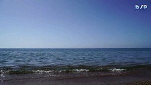 Sounds of the Pacific Ocean, waves, the sound of the surf!