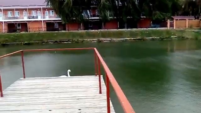 Санаторий ,,Лаба,, бассейны с миниральной водой ,, Лабушка,, г. Лабинск