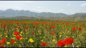 Махтумкули Фраги  Пришлось #туркменскаялирика #стихиолюбви