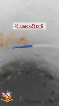 Чья поклёвка? #зимняярыбалка #рыбалка #рыбалкавидео #рыбалказимой #fishing #мормышка #безмотылка