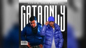 GATA ONLY (CHRIS EL GRECO REMIX)