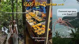 VLOG #3. ВОДОПАДЫ НА ПАНГАНЕ. РЫНОК В ЧАЛОКЛАМЕ. ОБЗОР КОВОРКИНГА И НАПАДЕНИЕ ПАУКА.