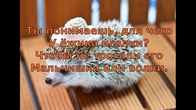 С  Маршак  Живёт у нас под креслом ёж    #поэты20века #стихидетям #стихиоживотных