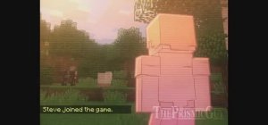 Thank You Minecraft!