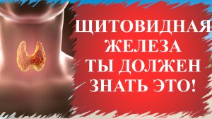 Заболевания щитовидной железы: лечение, причины, диагностика