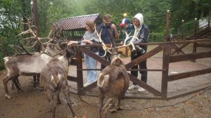ферма_северных_оленей_2023