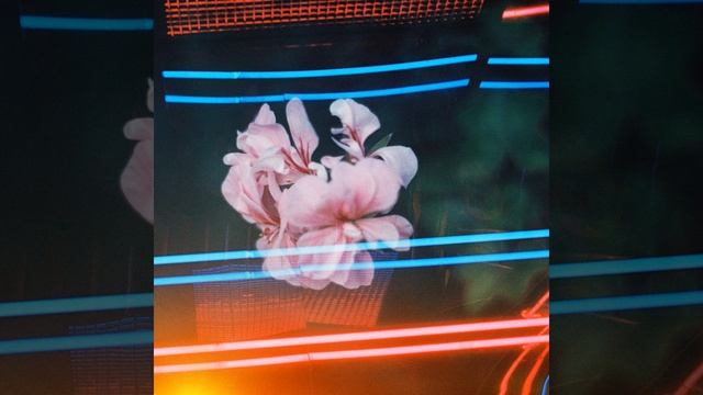 Beauty (feat. Horace Bray) смотреть онлайн