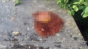 Семья каннибалов убила и съела как минимум 30 человек