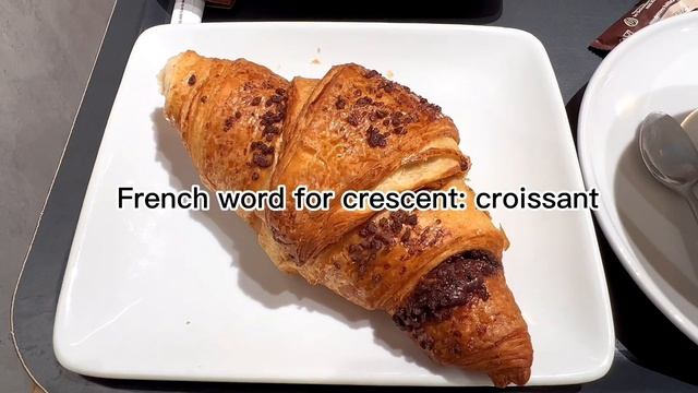 Few things you should know about Vienna, Austria 🇦🇹 #wien #vienna #austria #travel #vlog смотреть онлайн