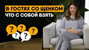 В гостях со щенком: брать щенка с собой или оставить дома?