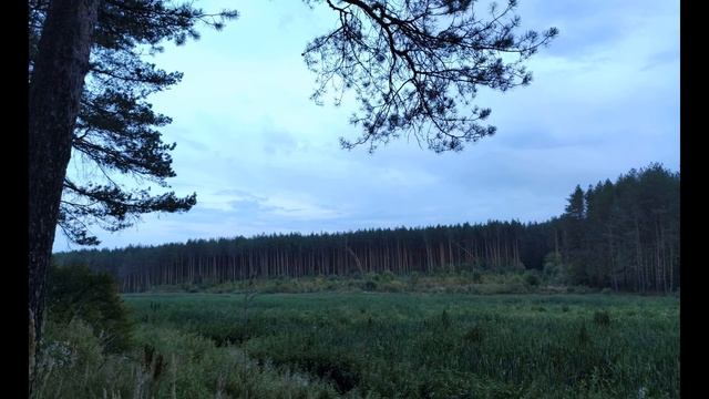 П Верлен  И в сердце растрава  И дождик с утра #стихиотоске#стихиодожде#зарубежнаялитература