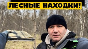 ЛЕСНЫЕ НАХОДКИ!