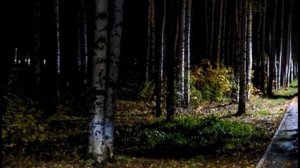 К Фофанов  Под музыку осеннего дождя #стихиобосени#философскаялирика#поэтыСеребряноговека