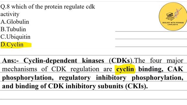 Cyclin dependent kinase (CDK) activity regulation.