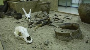 №13 Дорогами добра. Тевризский музей. Омская область. Борис Мельников