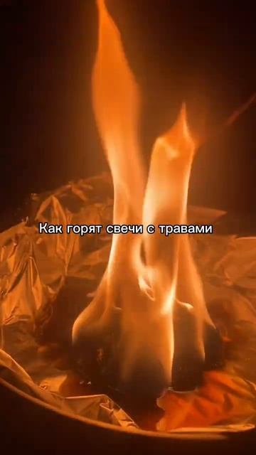 Телеграмм Живые свечи #магиятрав #свечистравами #программныесвечи #магиясвечей #свечнаямагия