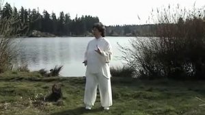 Taiji_Qigong_18