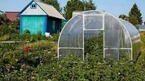 СОВЕТЫ ПО ТЕПЛИЦАМ