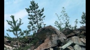 М Лермонтов  Утёс #стихиолюбви #философскаялирика #поэты19века