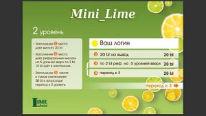 ФИНАНСОВЫЙ ТРЕНАЖЕР с программой Мини Лайм. Начни бизнес с 8$