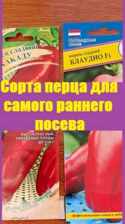 Какие сорта перца я выбрала для самого раннего посева, в конце января, феврале