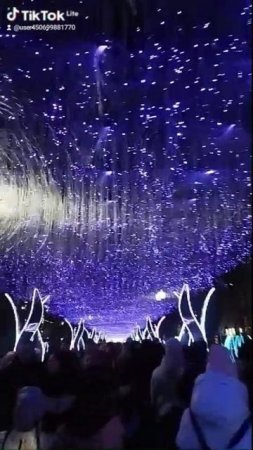 Новогоднее украшение 2025 улицы Красной в Краснодаре #городскаясреда #благоустройство #краснодар
