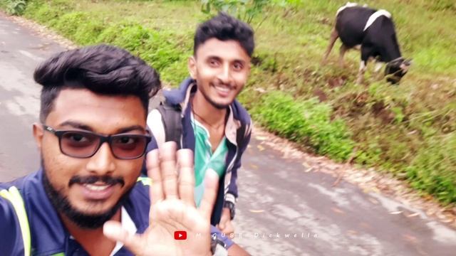 HAPUTALE| OHIYA| IDALGASHINNA| PATTIPOLA| AMBEWELA| TRAIN JOURNEY| SRI LANKA| M CUBE Dickwella смотреть онлайн