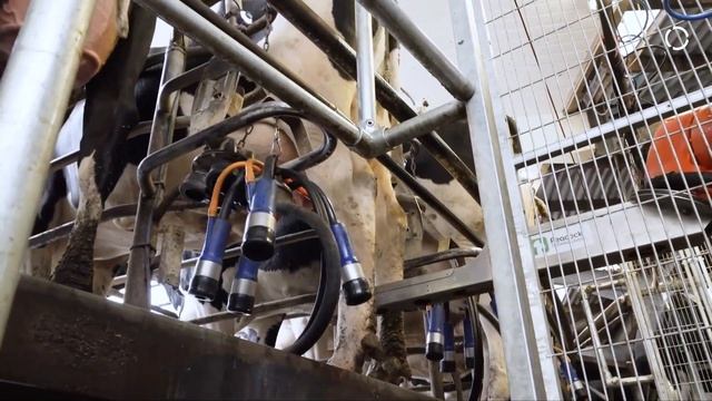 IDS Teat - Supporting sustainable and efficient production processes, in the dairy industry.