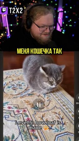 Милота Зашкаливает 🐱 - #t2x2 #т2х2 #twitch #shorts #юмор #история #реакция #кот #котики